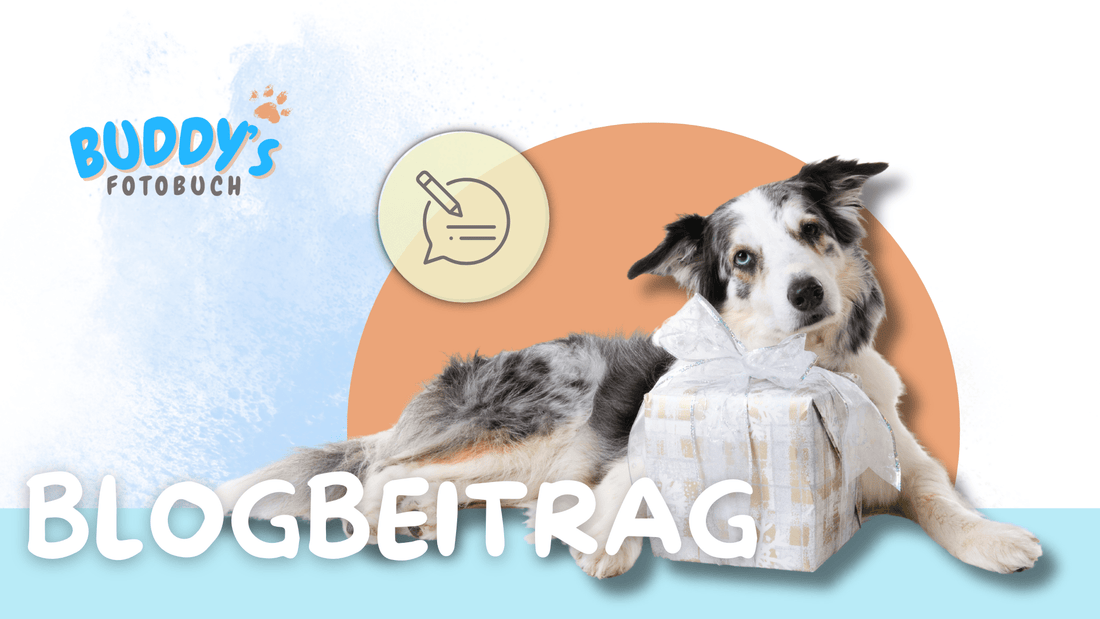 Hund mit Geschenk – Buddy’s Fotobuch als kreative Geschenkidee für Haustierbesitzer