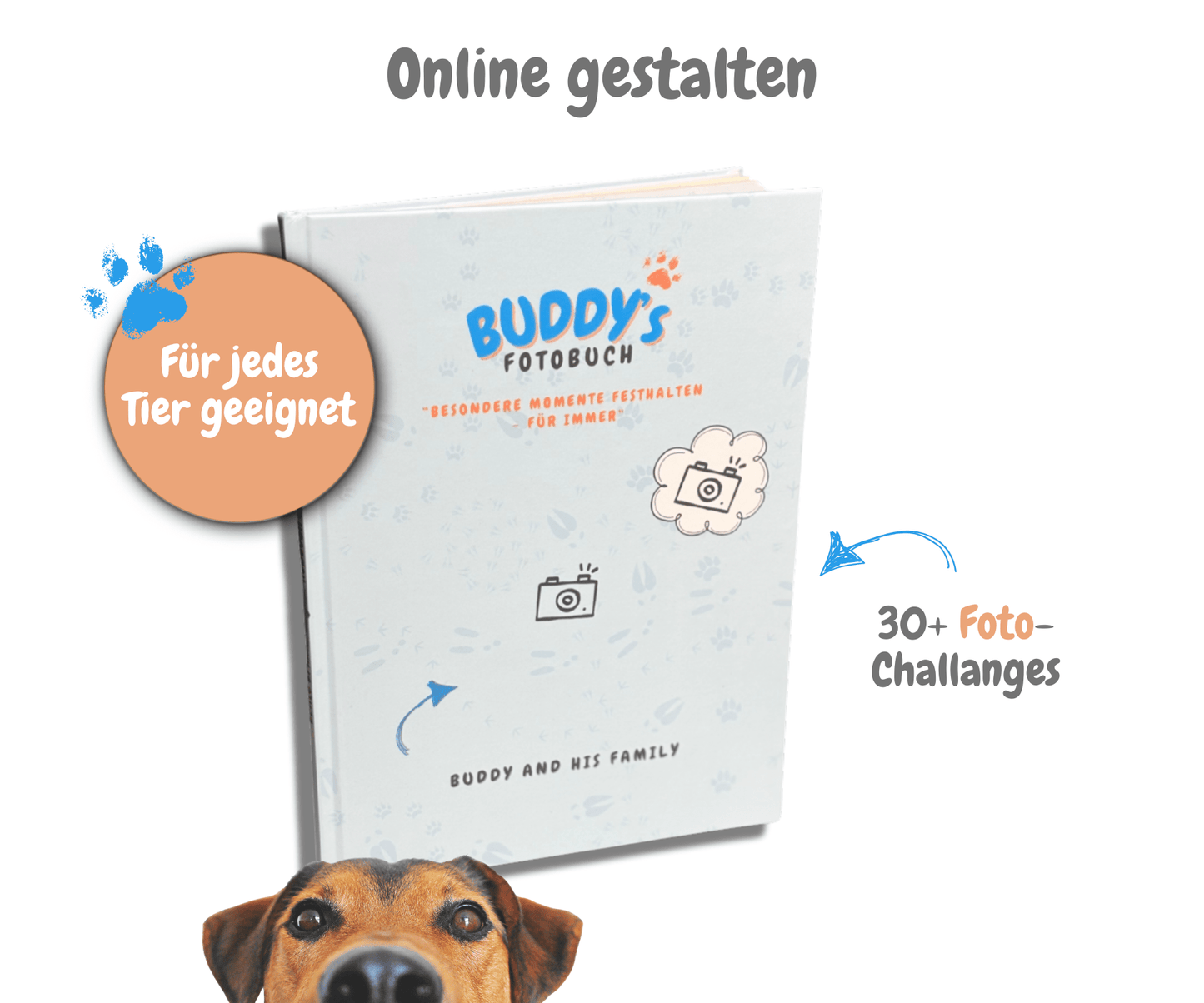 Online gestalten - DIY-Erinnerungsalbum für Haustiere