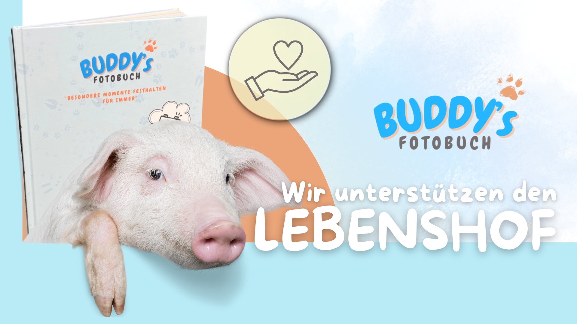 Headerbild: Buddy’s Haustier-Fotobuch neben glücklichem Schwein – Hinweis „Wir unterstützen den Lebenshof Mut im Bauch“ und 1-€-Spendenaktion für gerettete Tiere.